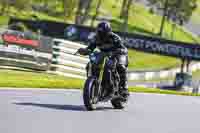 Lower Group Black Bikes